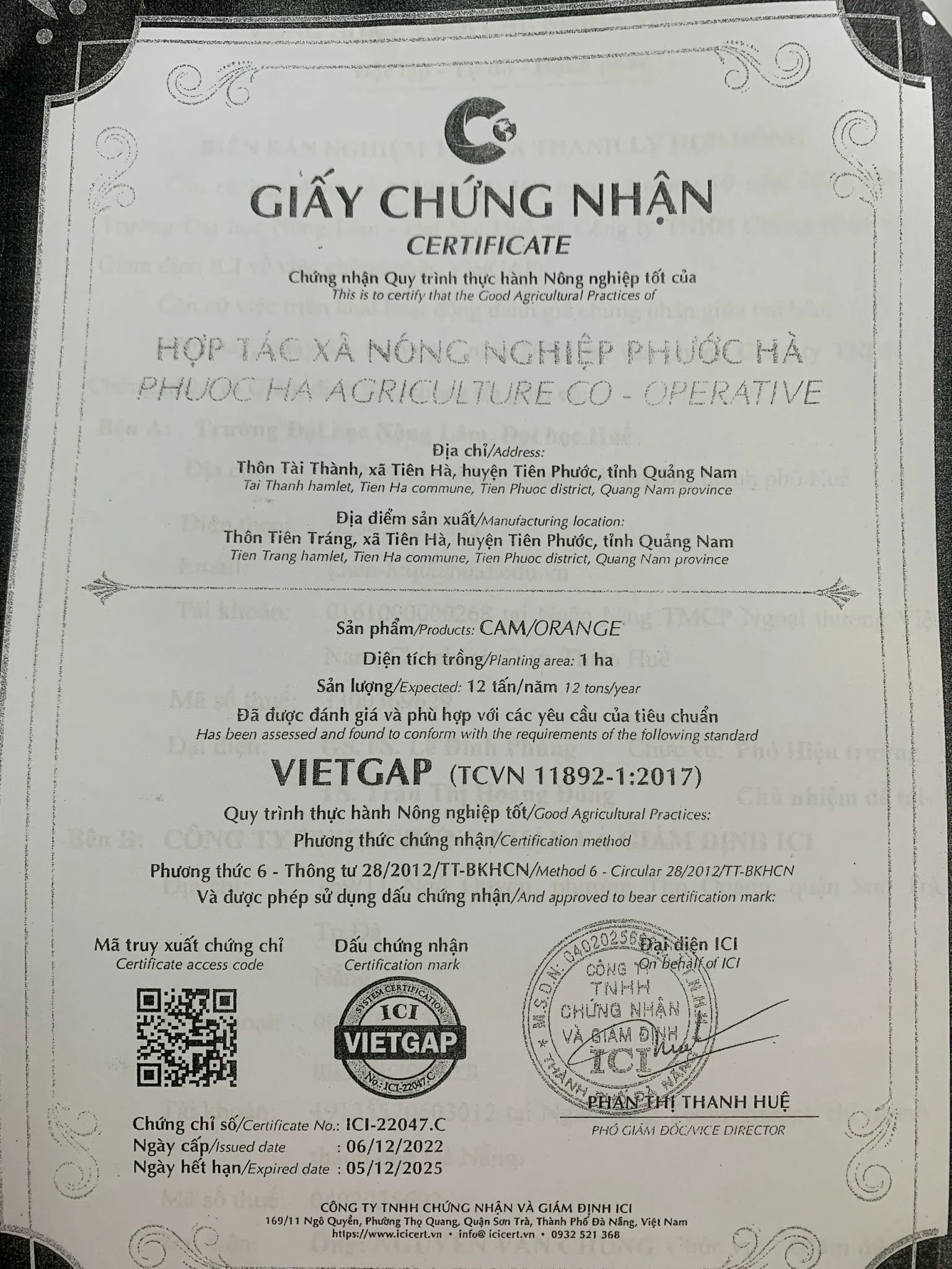 Giấy chứng nhận VietGAP – Cam giấy Tiên Hà