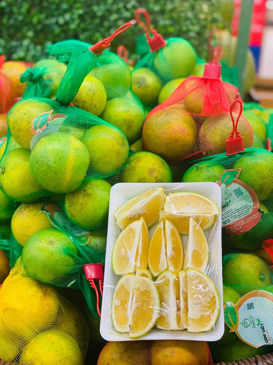 Cam giấy Tiên Hà