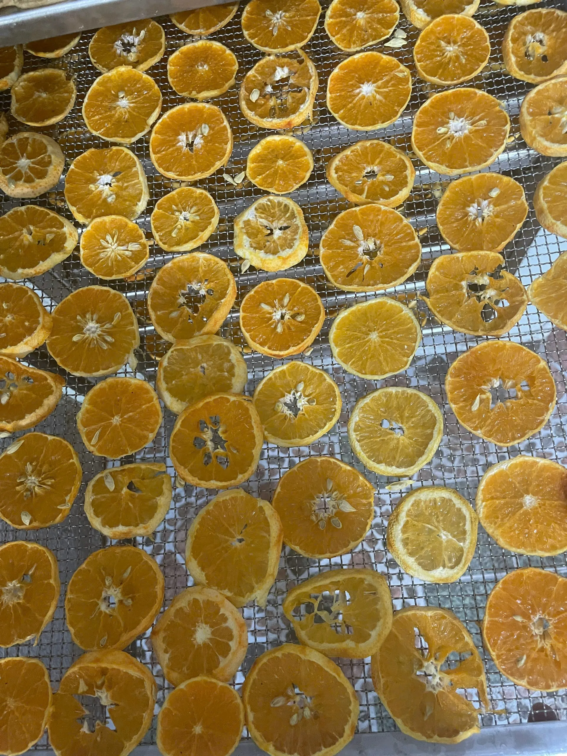 Cam sấy dẻo